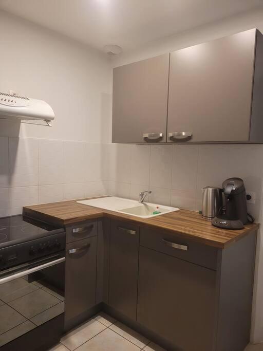 Appartement Sur La Place De Poncin Εξωτερικό φωτογραφία